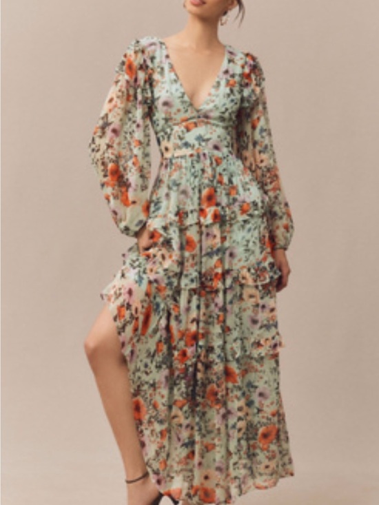 BHLDN Dresses & Skirts - BHLDN FLORAL CHIFFON PLUNGE LONG-SLEEVE RUFFLE MAXI DRESS